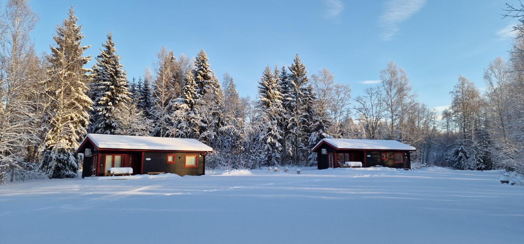 Nygard Cabins - Brandnew, Fully Equipped Home In Nature Sunne község Kültér fotó