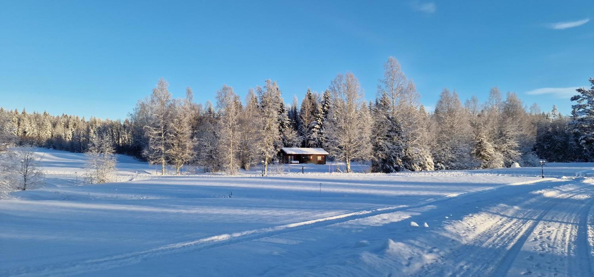 Nygard Cabins - Brandnew, Fully Equipped Home In Nature Sunne község Kültér fotó